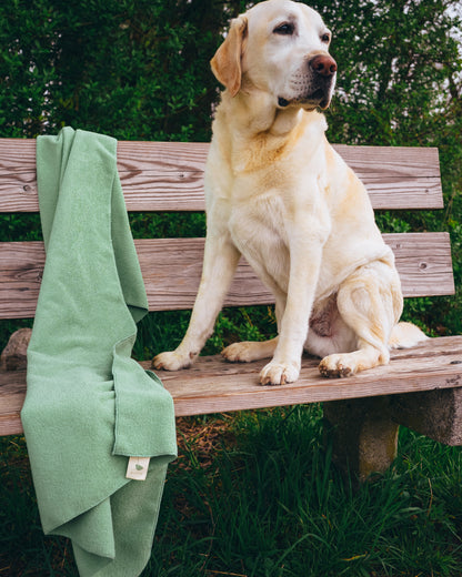 TOWEL