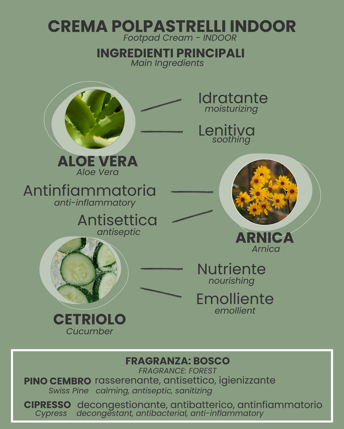 CREMA POLPASTRELLI INDOOR