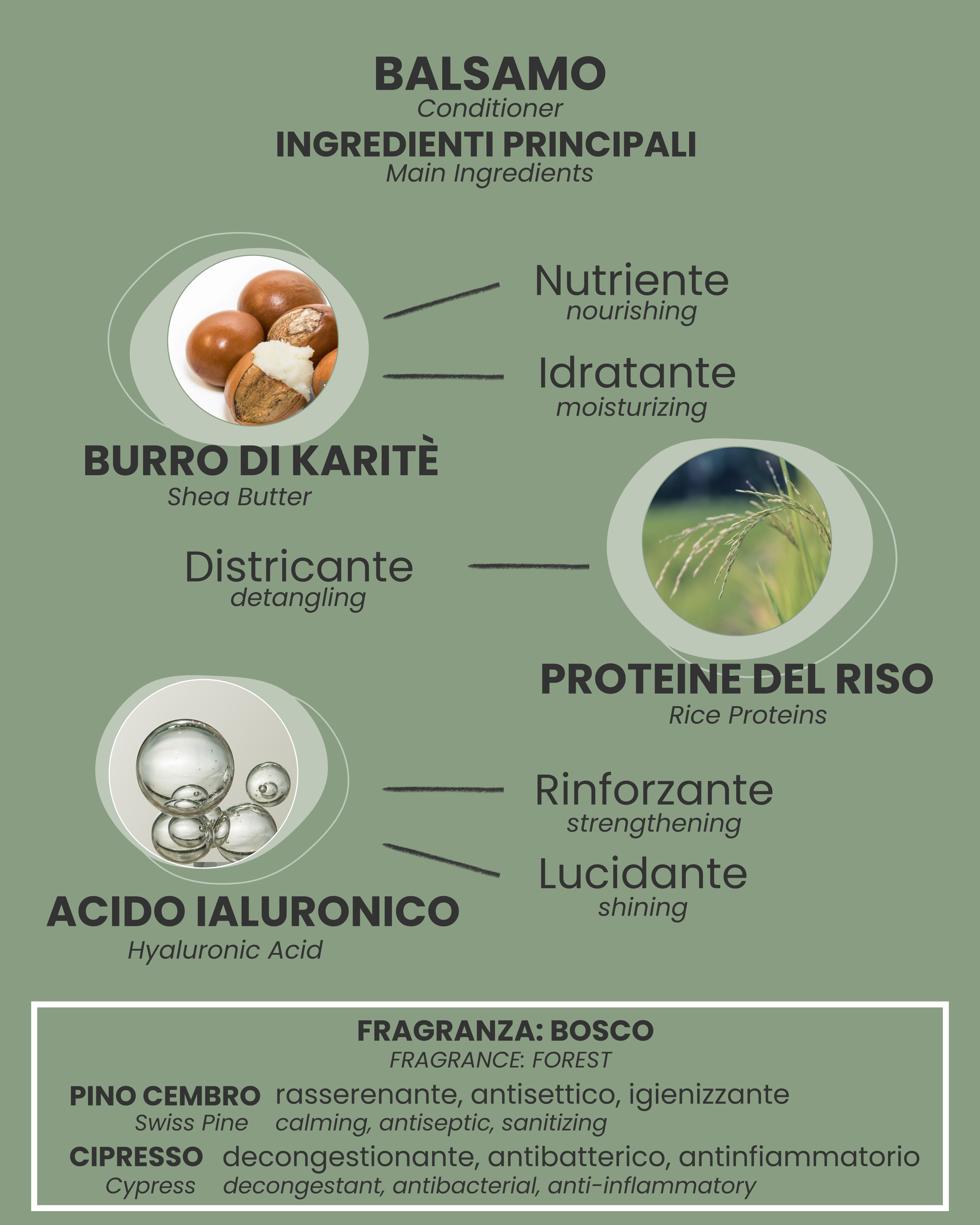 BALSAMO