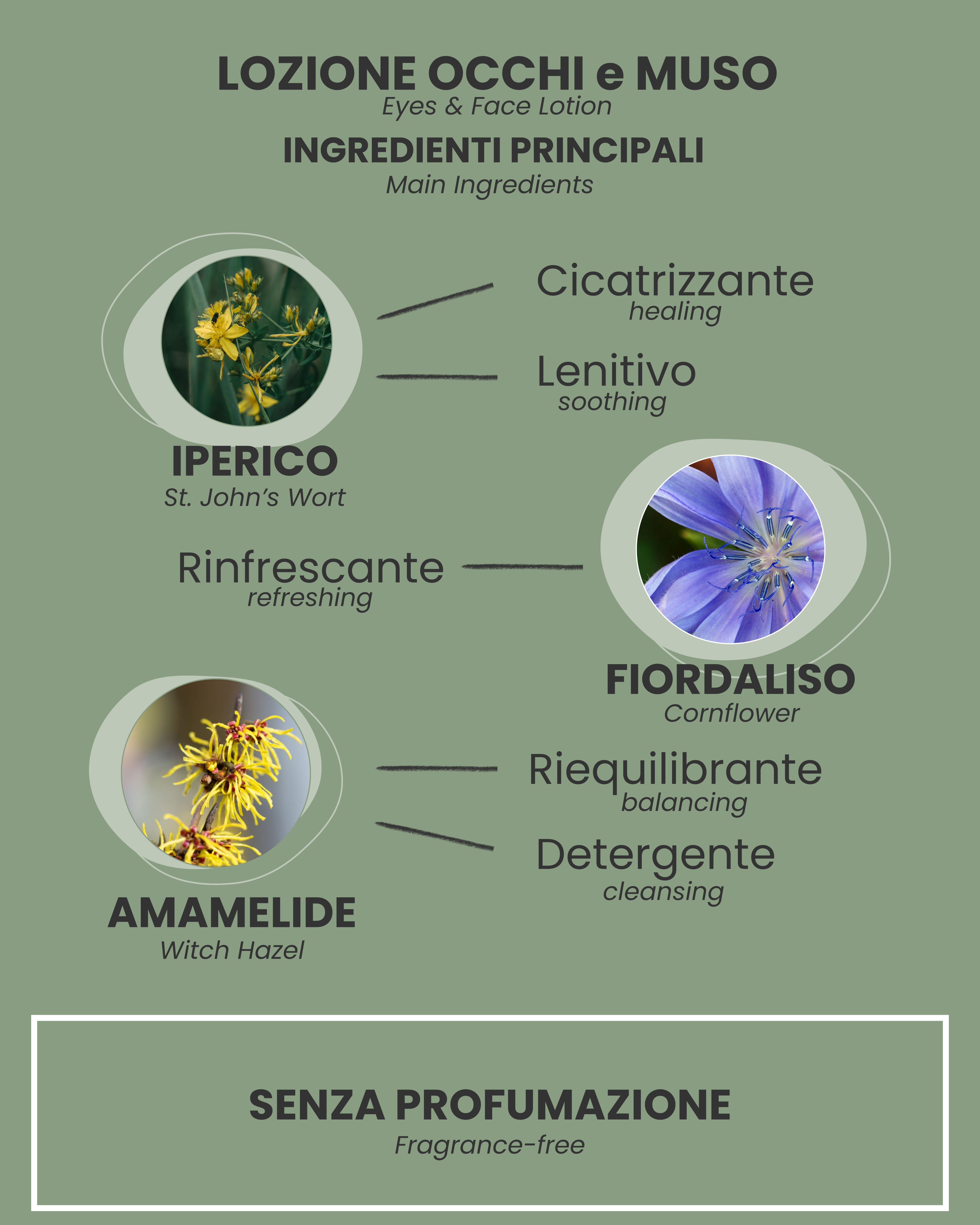 LOZIONE OCCHI E MUSO