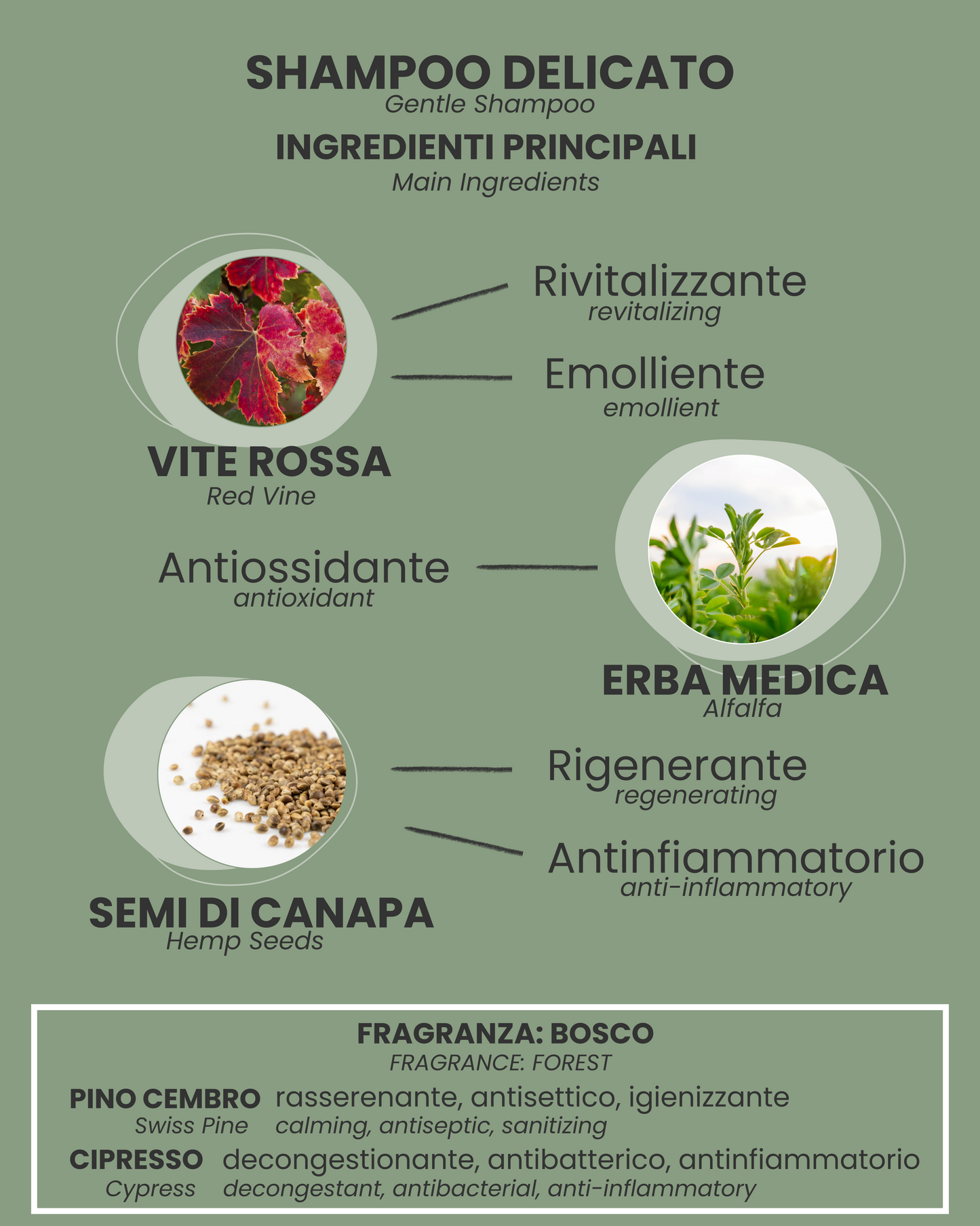 Shampoo delicato per cani e gatti