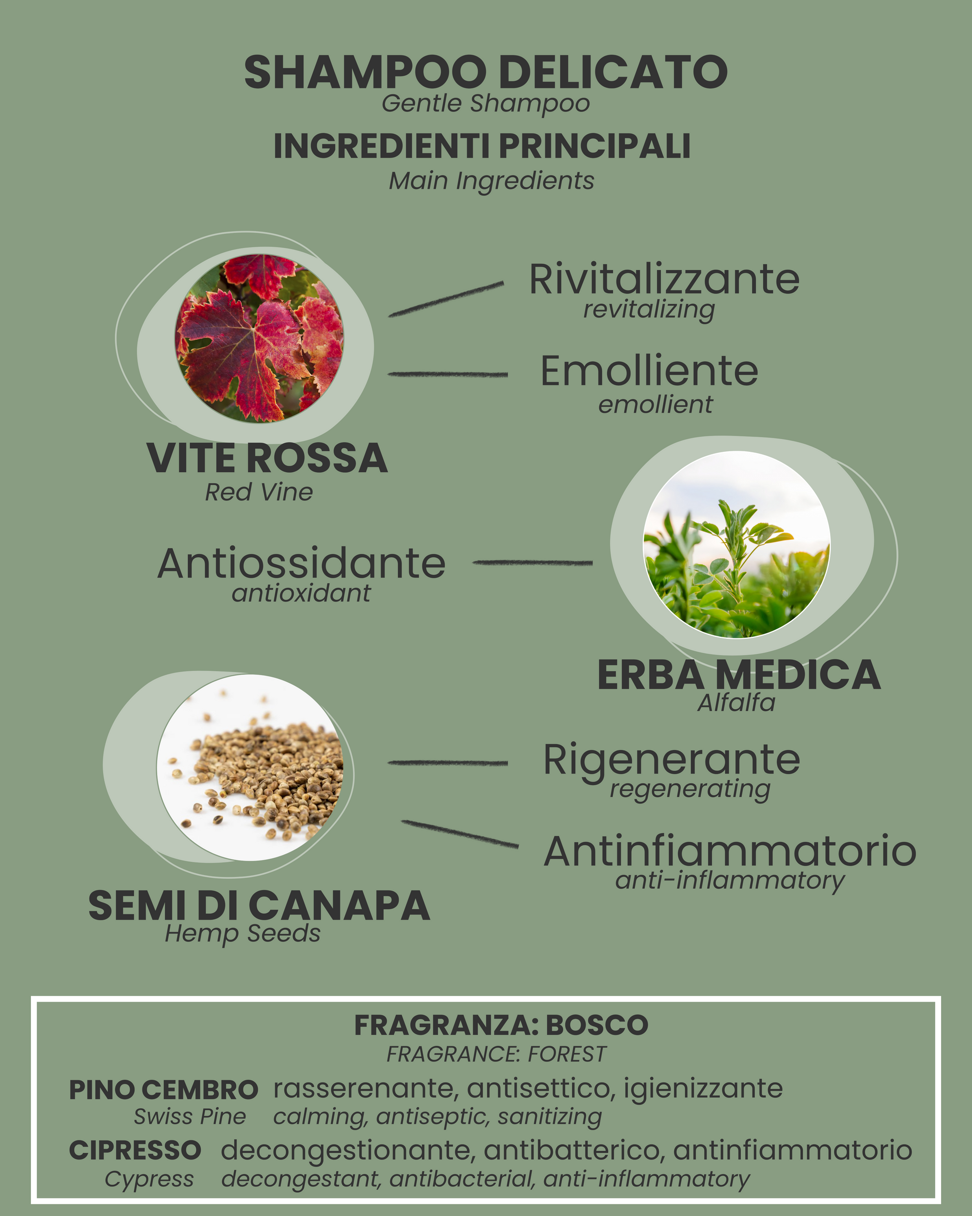 Shampoo delicato per cani e gatti