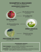 SHAMPOO e BALSAMO