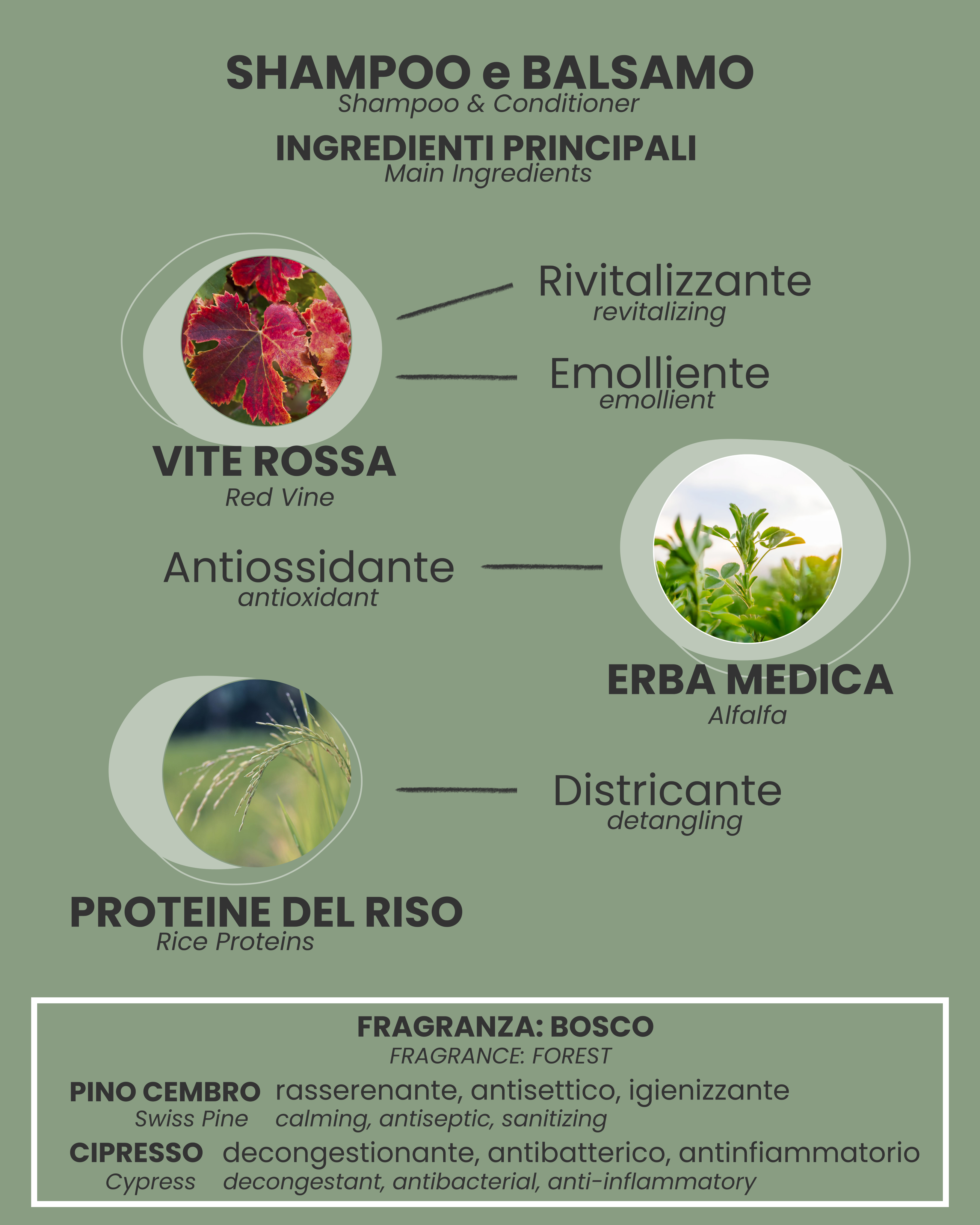 SHAMPOO e BALSAMO